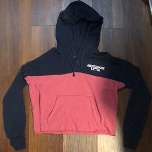 Ambercrombie & Fitch cropped sweater